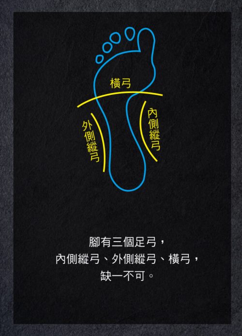 鞋墊設計原理_01